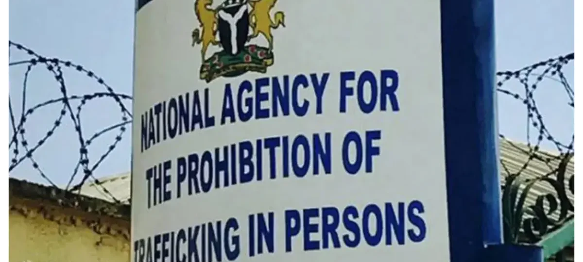 Kano Govt, NAPTIP uncovers child’s adoption chains