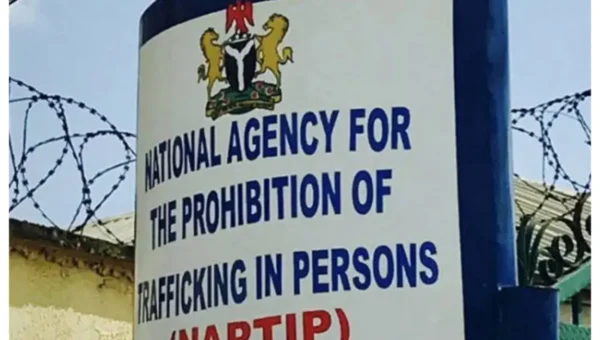 Kano Govt, NAPTIP uncovers child’s adoption chains