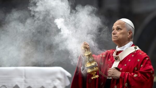 Silicon Valley takes its AI pitch to Pope Leo