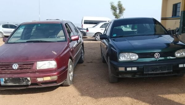Police crack down on fraud syndicate, recover 67 rustled cattle in Niger