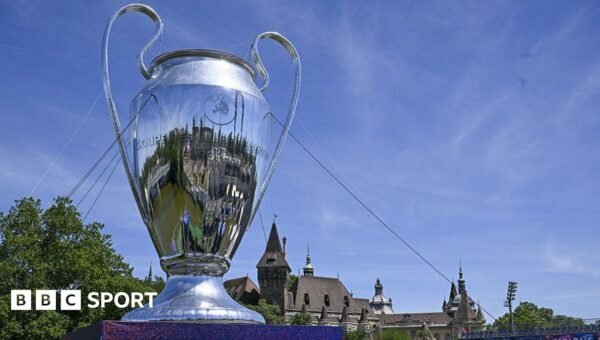 Budapest police investigating fan brawl before Champions League final
