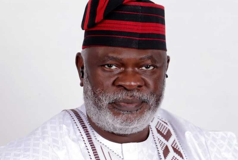 David Olofu emerges ADC senatorial candidate for Benue South