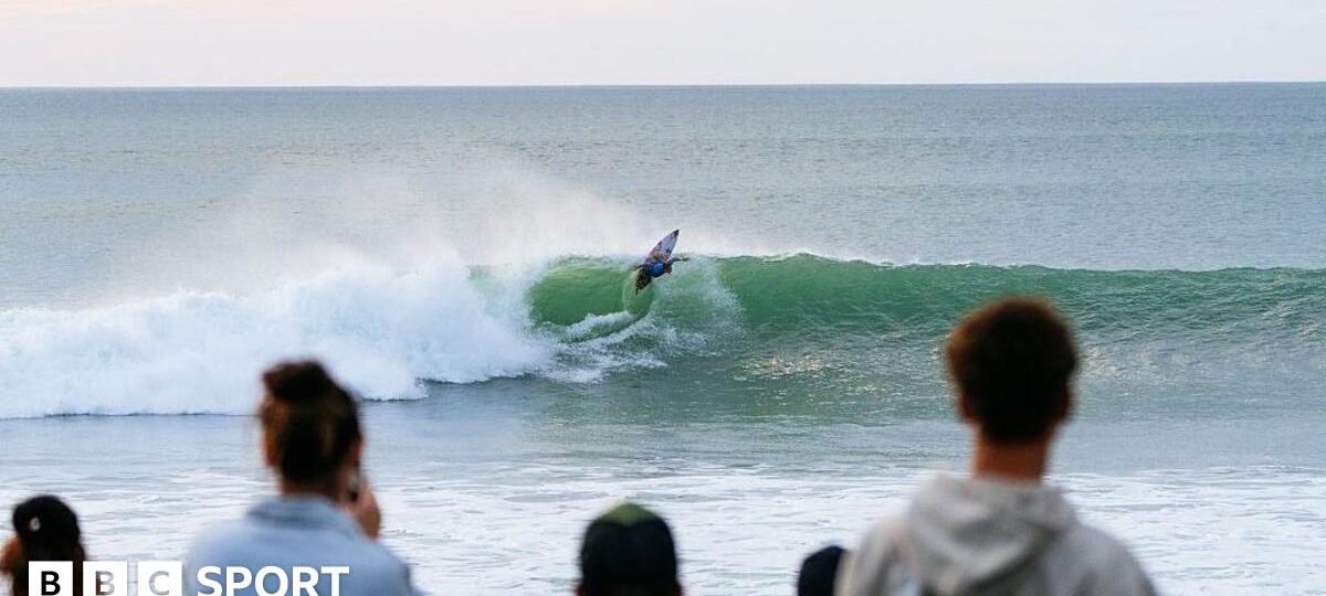 Surf photographer attacked in water by 'shark or sea lion'