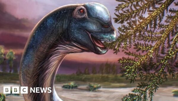 Giant new dinosaur identified from fossils in Thailand