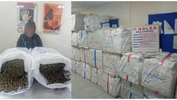 NDLEA Arrests 63-Year-Old Chinese Woman With 31kg Cannabis At Lagos Airport