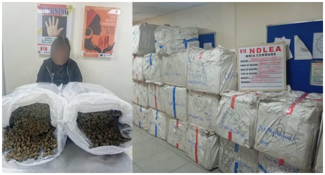NDLEA Arrests 63-Year-Old Chinese Woman With 31kg Cannabis At Lagos Airport