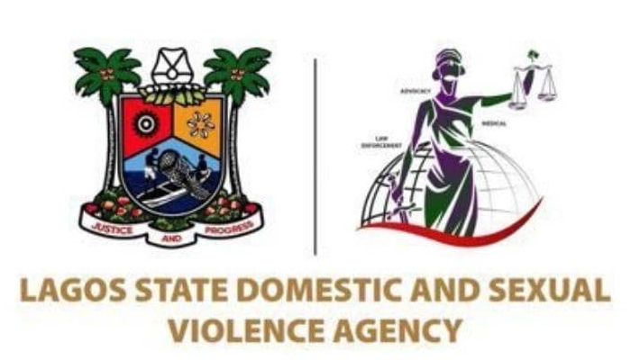 Lagos DSVA receives over 450 domestic violence complaints monthly