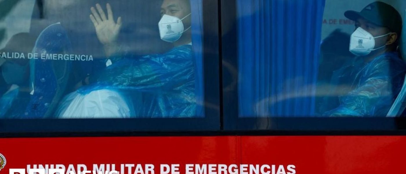 No sign of larger hantavirus outbreak, says UN health agency