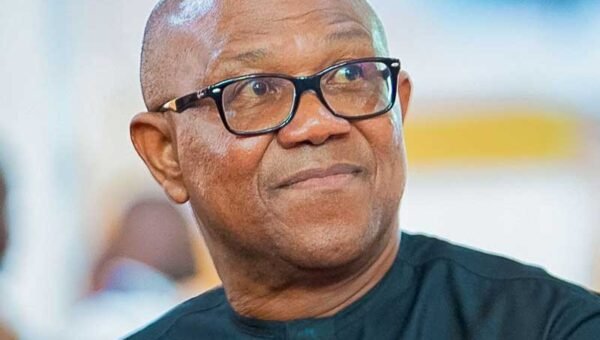 2027: NDC clears Peter Obi for presidential primaries