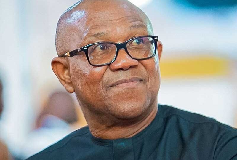 Peter Obi’s acceptance in North still in doubt despite Kwankwaso’s support base – Muhammad, Ibrahim