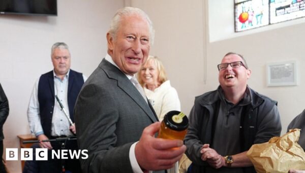 ‘At least it wasn’t on my head’: King laughs off bird poo misfortune