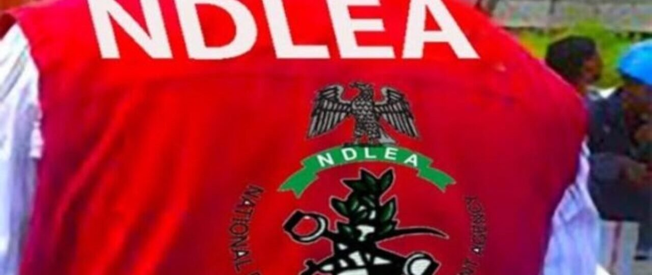 NDLEA uncovers illicit drug consignments in water purifier machines from Europe