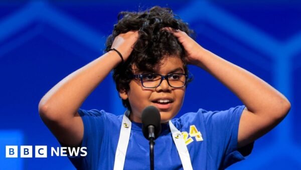 US spelling bee finalists battle it out – can you keep up? Take our quiz
