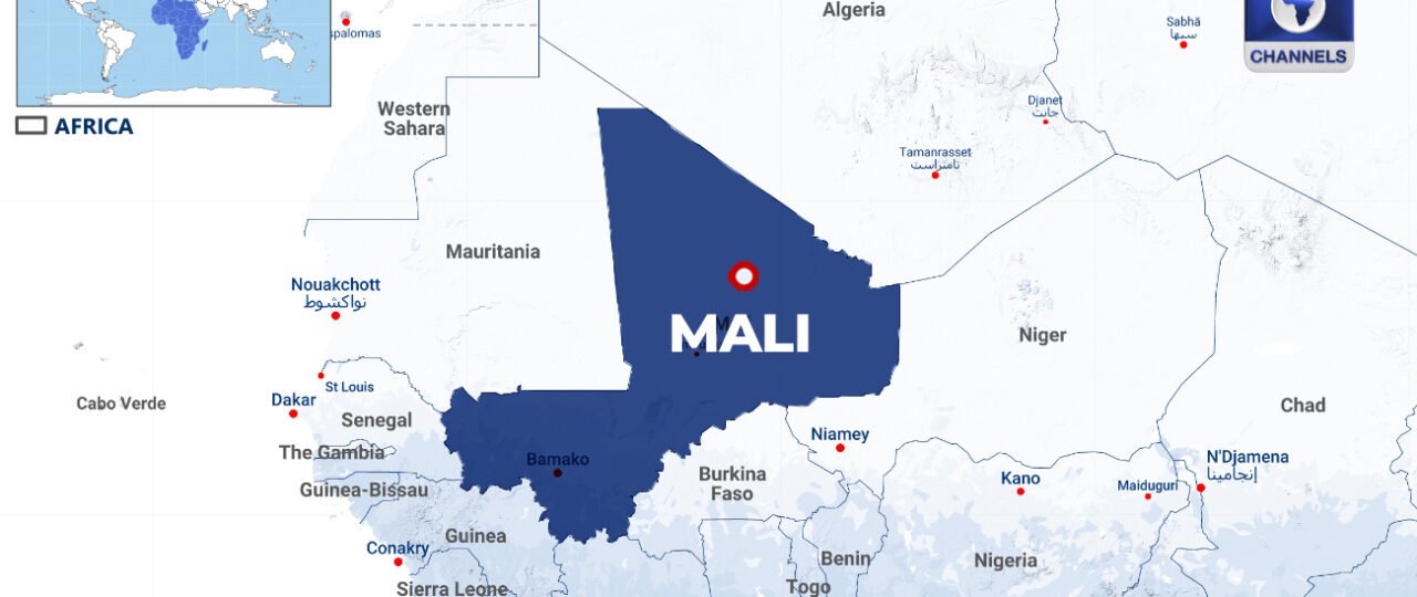 Mali Military Drone Strikes Kill At Least 10 Civilians