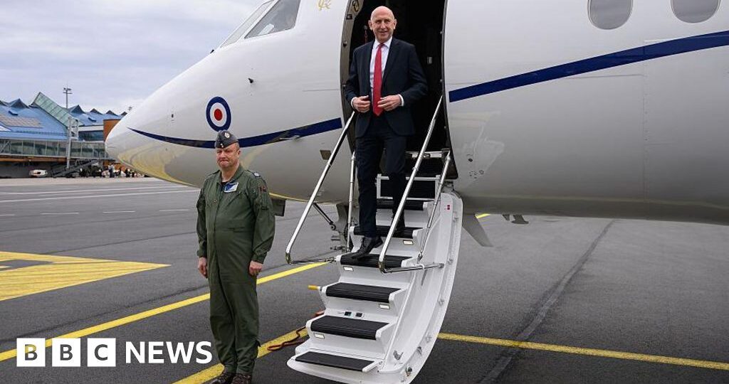 RAF jet carrying defence secretary has signal jammed near Russian border