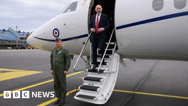RAF jet carrying defence secretary has signal jammed near Russian border