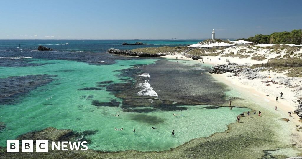 Man killed by 13ft great white shark in Western Australia