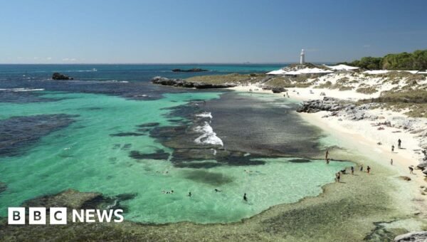 Man killed by 13ft great white shark in Western Australia