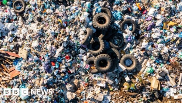 Clean-up of one of Europe’s largest illegal dumps ‘could begin in 2028’