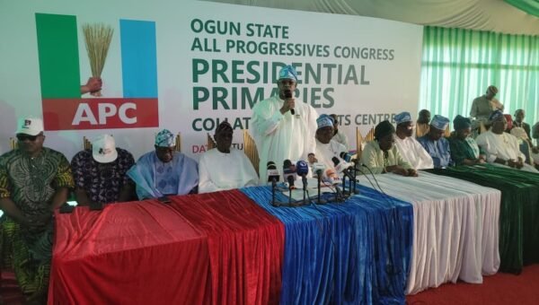 Tinubu wins APC presidential primary in Ogun with 322,485 votes