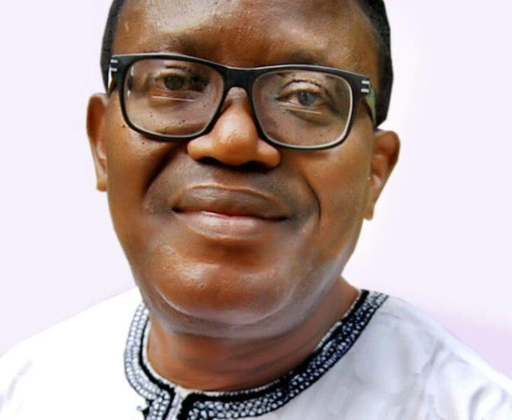 Minister Alausa: Little learning is dangerous, by Owei Lakemfa