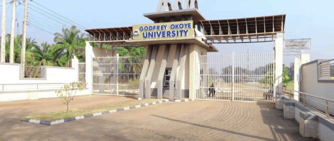 GOUNI Post UTME/Direct Entry Form for 2026/2027 Admission