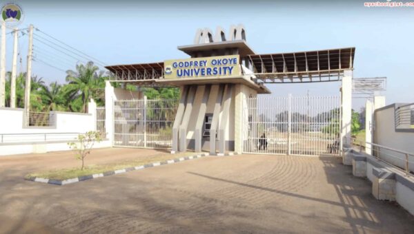 GOUNI Post UTME/Direct Entry Form for 2026/2027 Admission