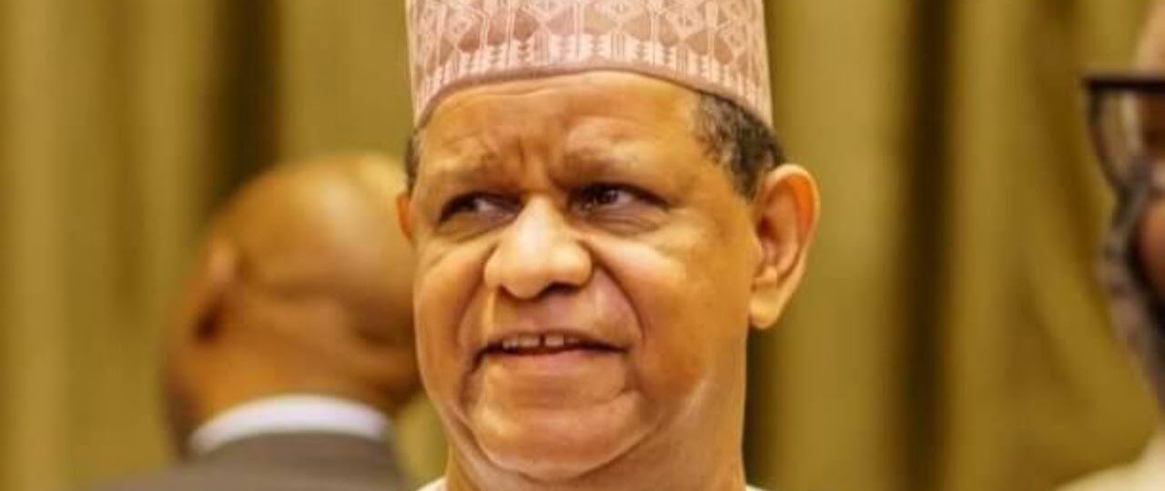 ADC presidential primary: Why I’m contesting for presidency – Hayatu-Deen