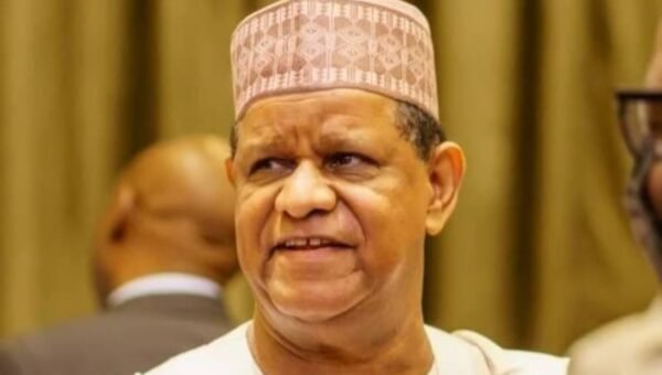 ADC presidential primary: Why I’m contesting for presidency – Hayatu-Deen