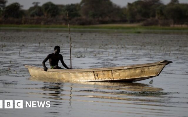 Dozens of Nigerian fishermen feared dead after Chad air strikes on Boko Haram