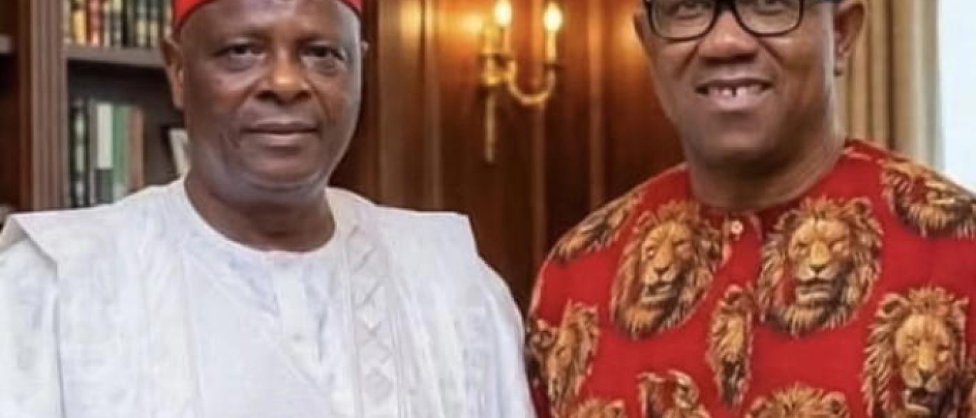 I’ll work with Obi, anyone that emerges as NDC’s presidential candidate — Kwankwaso