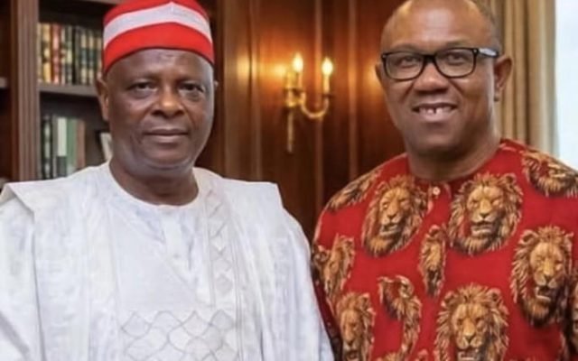 I’ll work with Obi, anyone that emerges as NDC’s presidential candidate — Kwankwaso