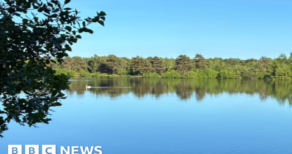 Search for boy, 15, missing in nature reserve lake