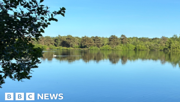 Search for boy, 15, missing in nature reserve lake