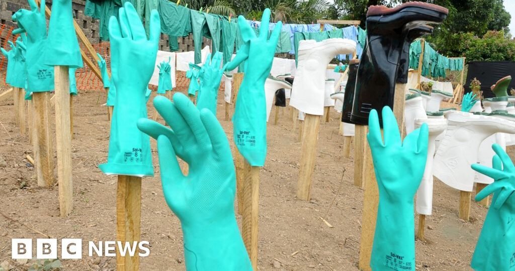 'Speed, money and compassion' - lessons from an Ebola survivor and other experts