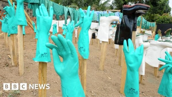‘Speed, money and compassion’ – lessons from an Ebola survivor and other experts