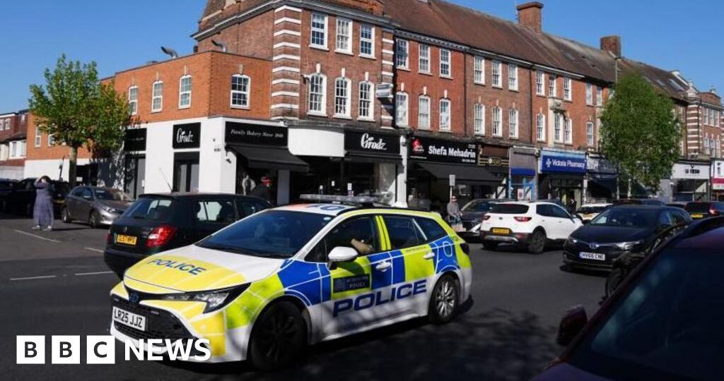 Golders Green attack suspect to stand trial next year