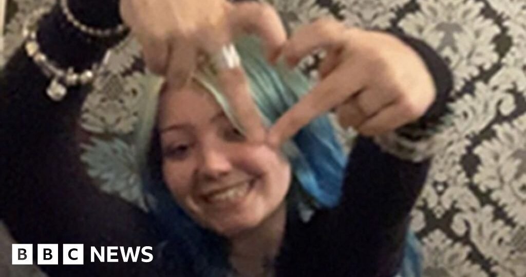 Woman admits guilt in fatal XL bully attack