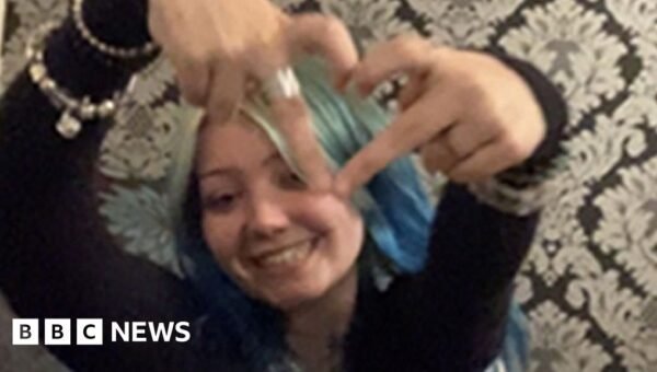Woman admits guilt in fatal XL bully attack