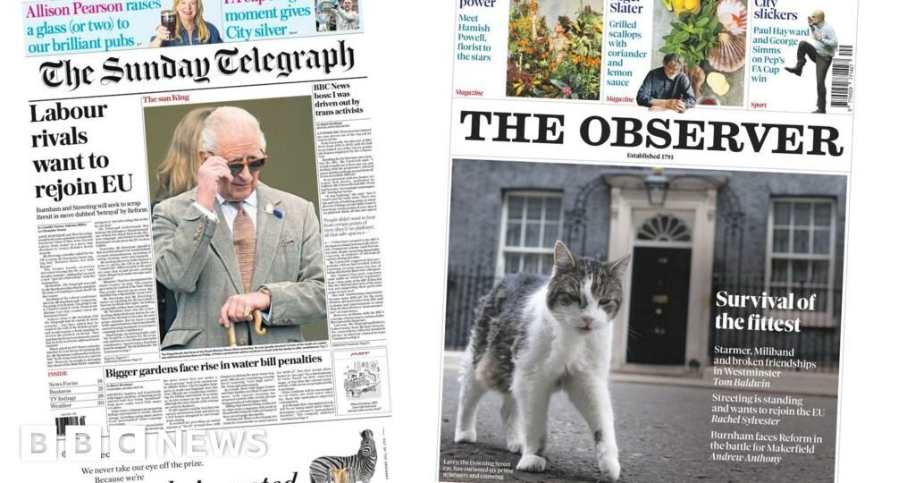 The Papers: ‘Labour rivals want to rejoin EU’ and ‘survival of the fittest’