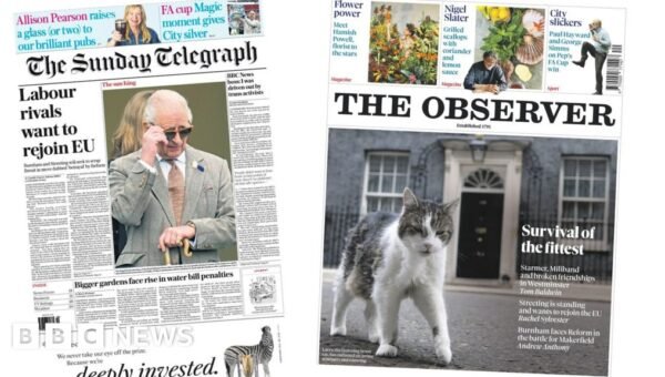 The Papers: ‘Labour rivals want to rejoin EU’ and ‘survival of the fittest’