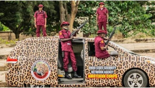 Amotekun busts criminal network operating under lunacy cover in Ondo