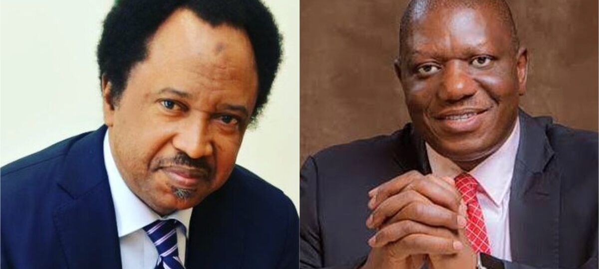 Marshall Katung, Shehu Sani win APC Senatorial primaries in Kaduna