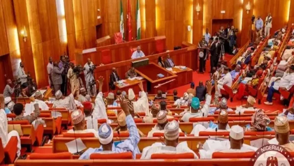 Borno, Oyo attacks: Students abduction is attack on Nigeria’s future — Senate