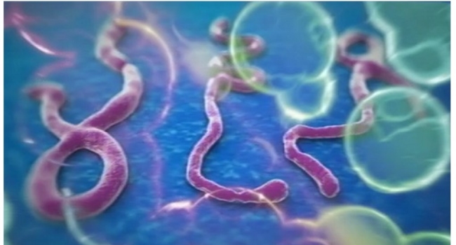 Suspected Ebola Cases Top 900 In DR Congo