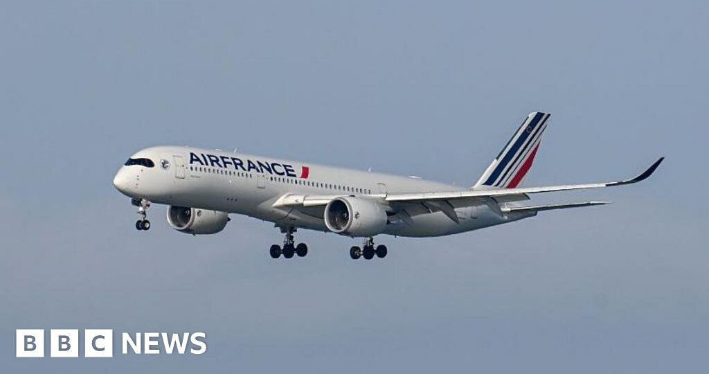 US-bound plane diverts to Canada after person from Ebola-hit region boards 'in error'