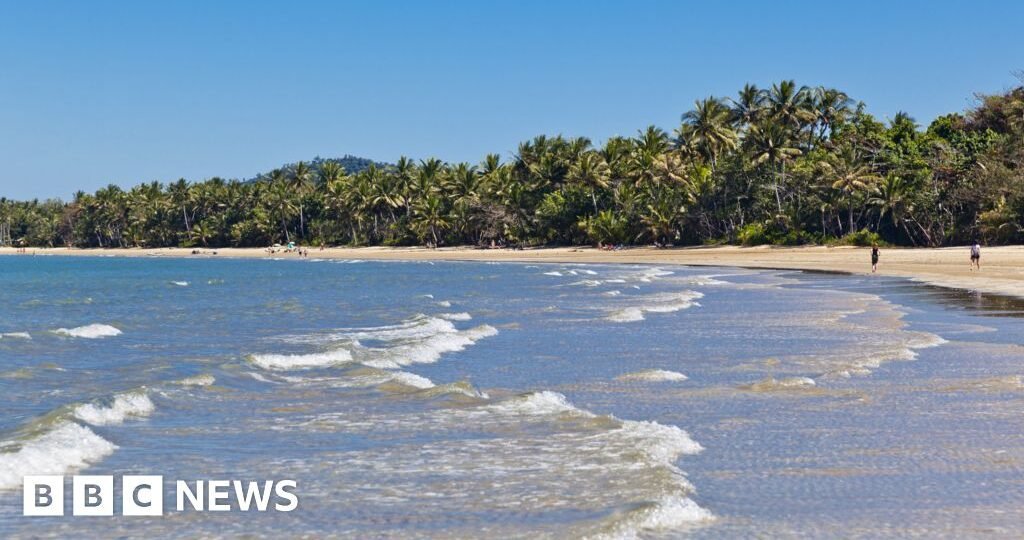 Man killed in shark attack off Australia's north-east coast