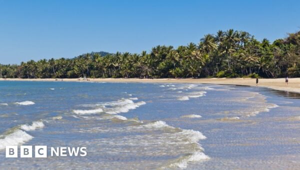 Man killed in shark attack off Australia’s north-east coast