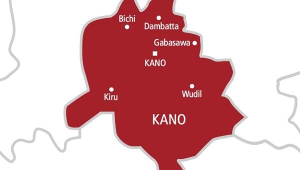 Kano LGA shuts down private school over alleged sexual abuse of students
