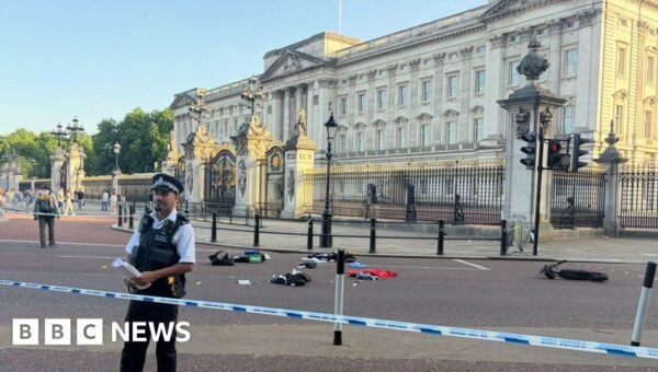 E-scooter and officer collide near Buckingham Palace